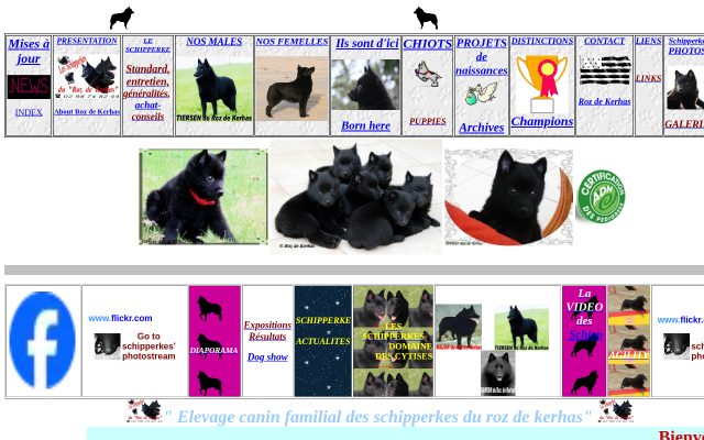 Aperçu du site Elevage familial des Schipperkes du Roz de Kerhas