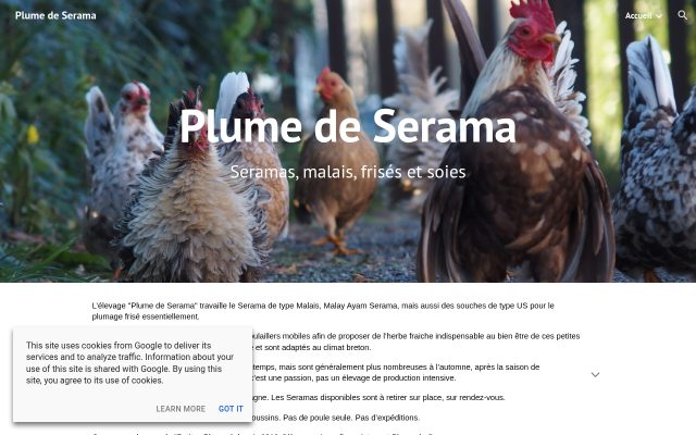 Aperçu du site Elevage des Petites Plumes