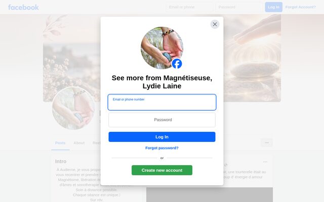 Aperçu du site Lydie Laine magnétiseuse