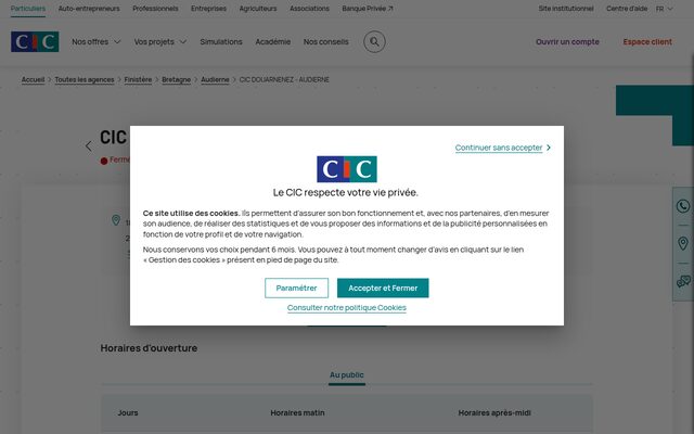 Aperçu du site CIC