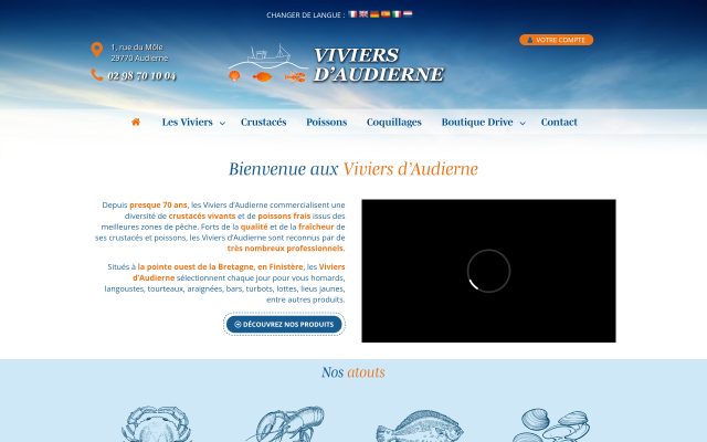 Aperçu du site Les Viviers d'Audierne