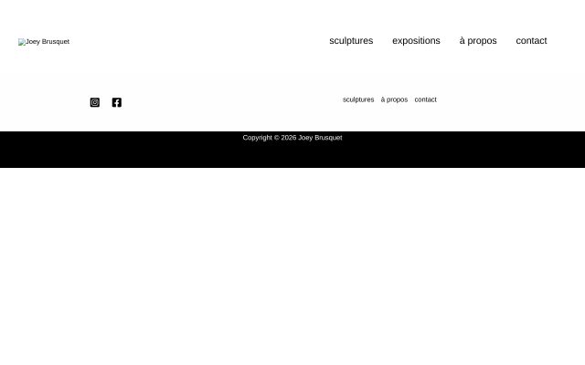Aperçu du site Joey Brusquet