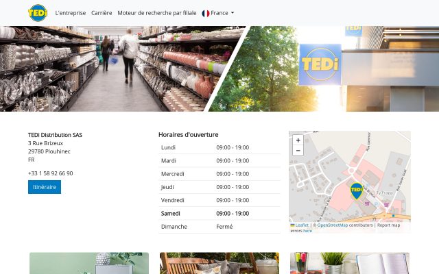Aperçu du site TEDi