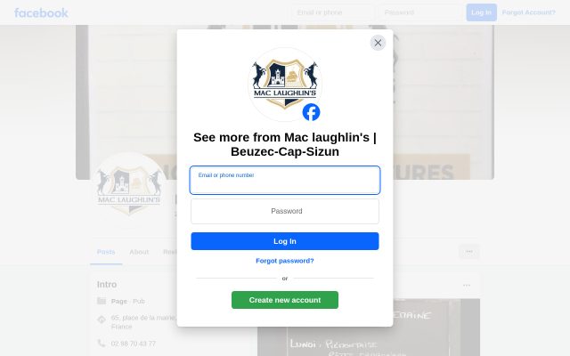 Aperçu du site Mc Laughlin’s